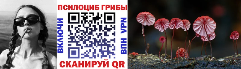 ссылка на мегу рабочий сайт  Сурск  Галлюциногенные грибы прущие грибы 